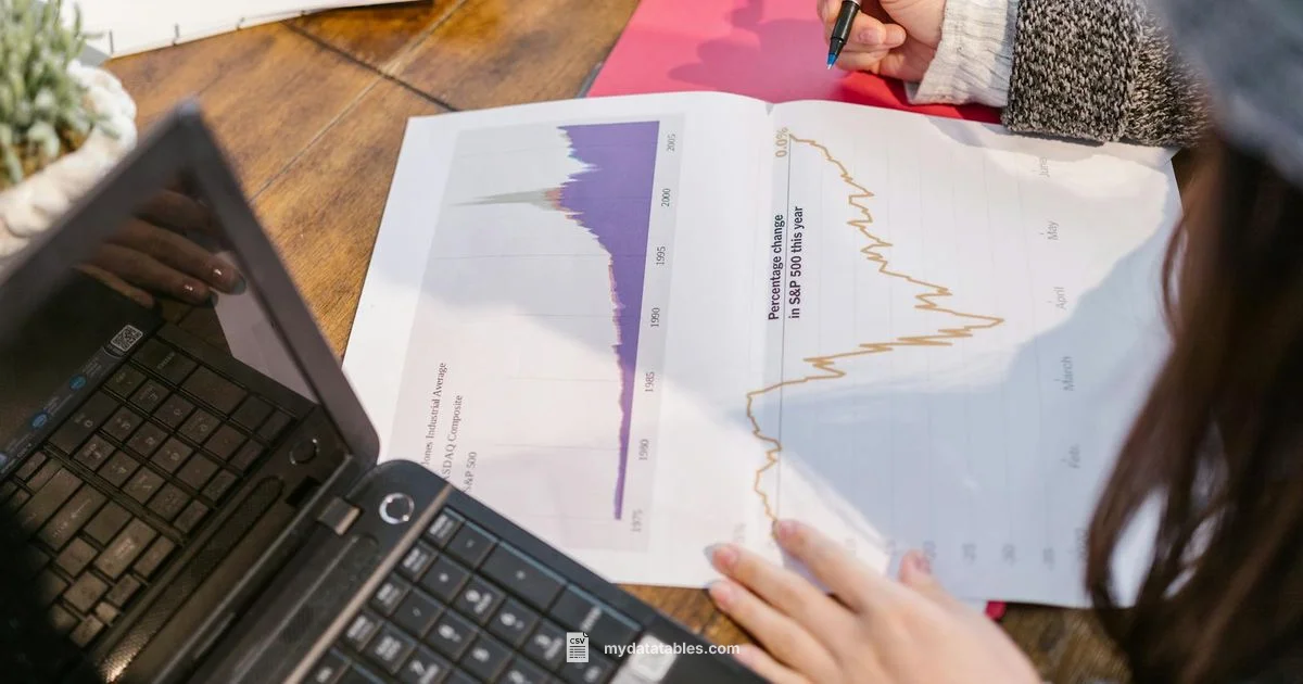 CSV in Excel Guide - MyDataTables