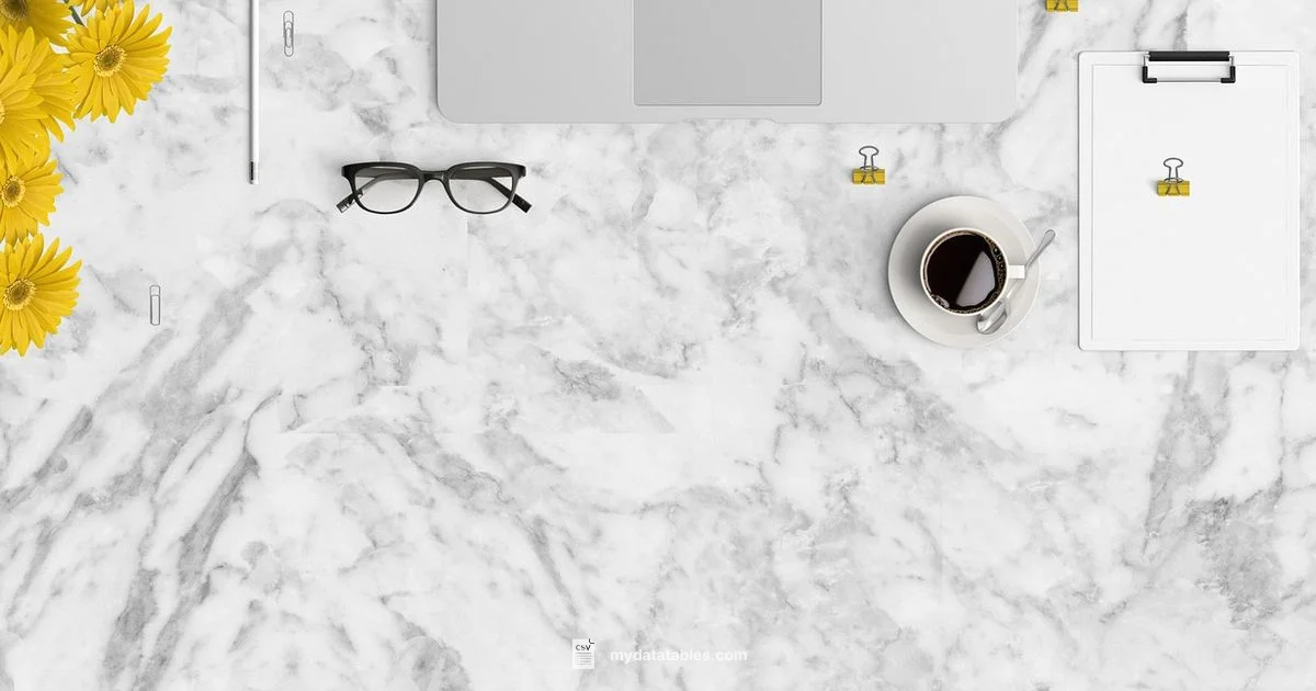 Best CSV Viewers - MyDataTables