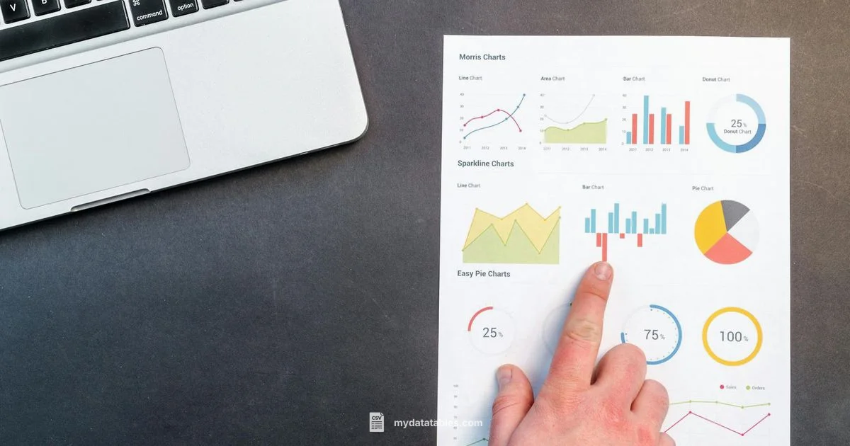 CSV to PDF Guide - MyDataTables