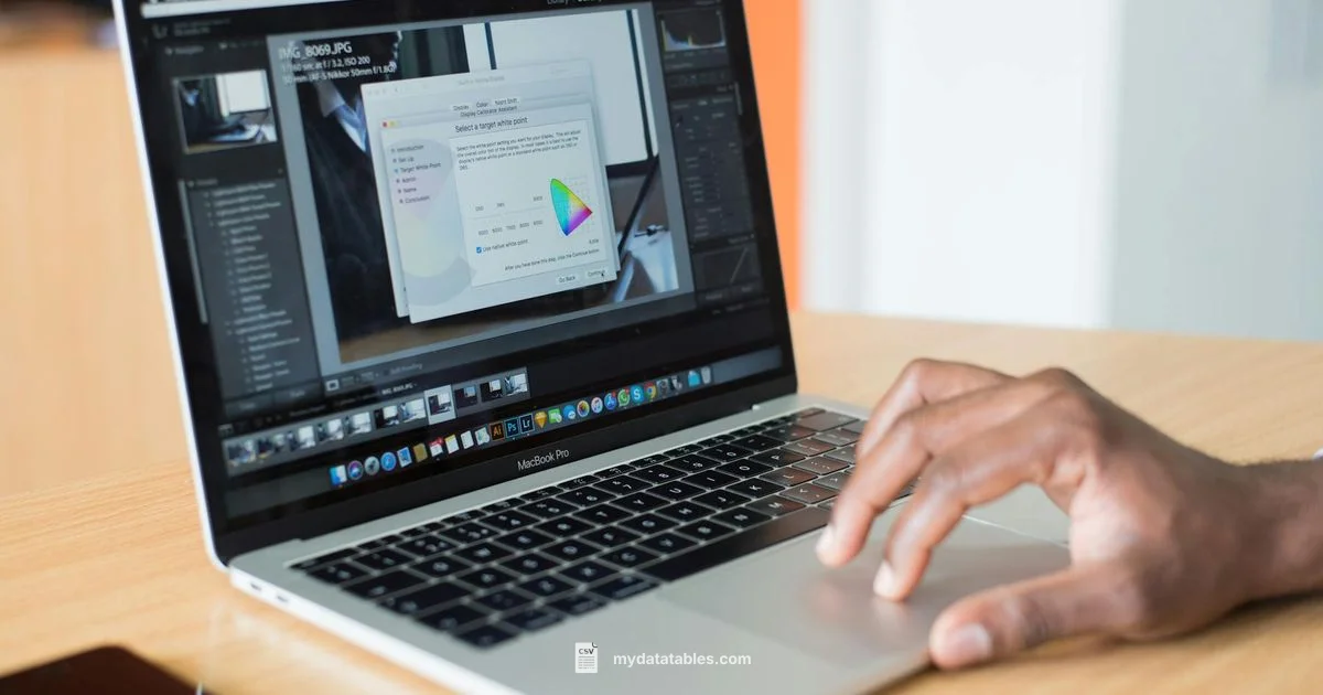 CSV Escape Steps - MyDataTables