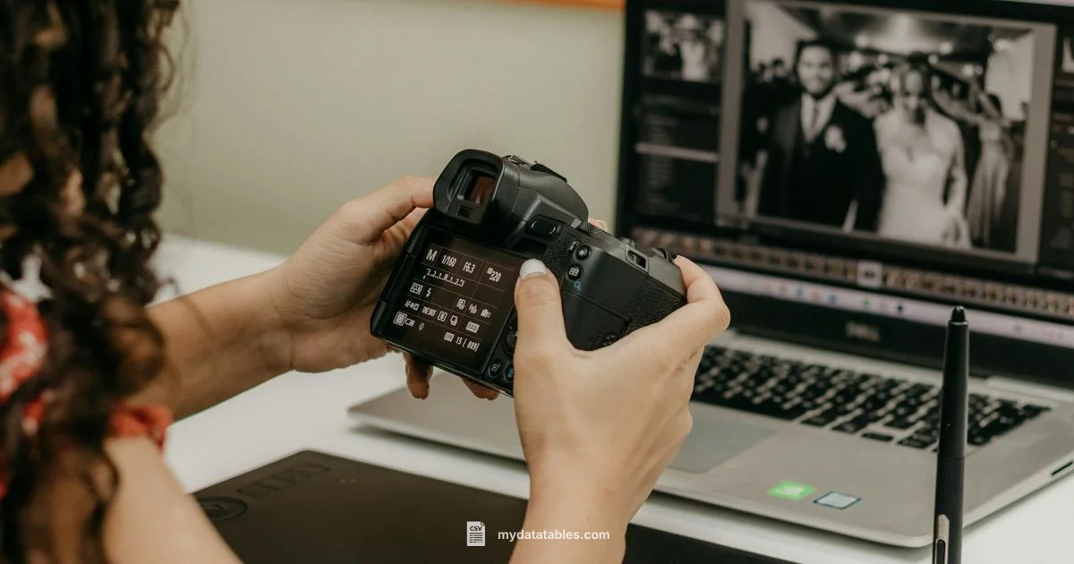 CSV Editor Windows CSV Editor Windows - MyDataTables