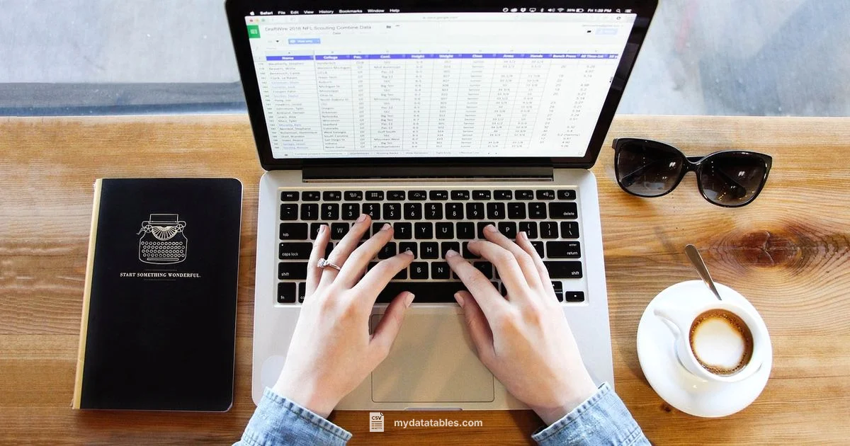CSV Basics - MyDataTables