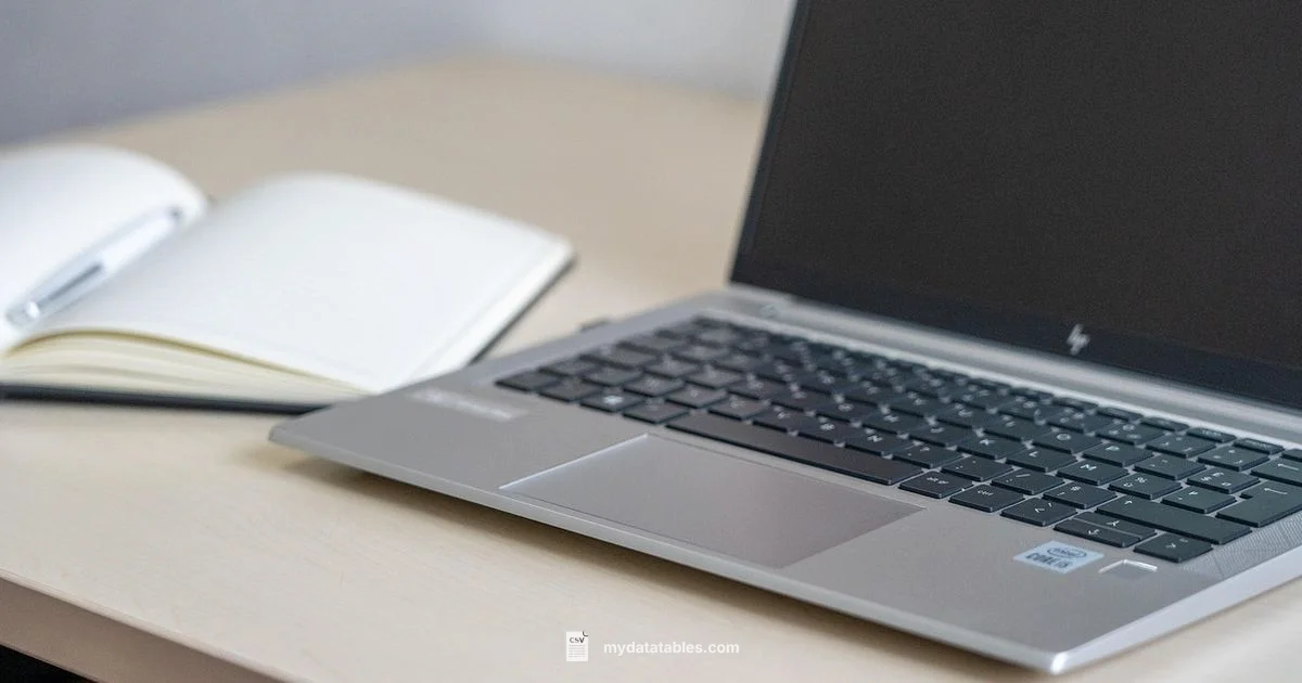 XLSX to CSV Guide XLSX to CSV Guide - MyDataTables