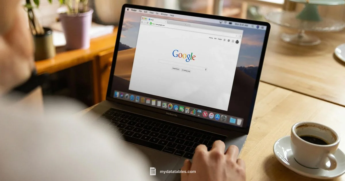 CSV in Sheets - MyDataTables