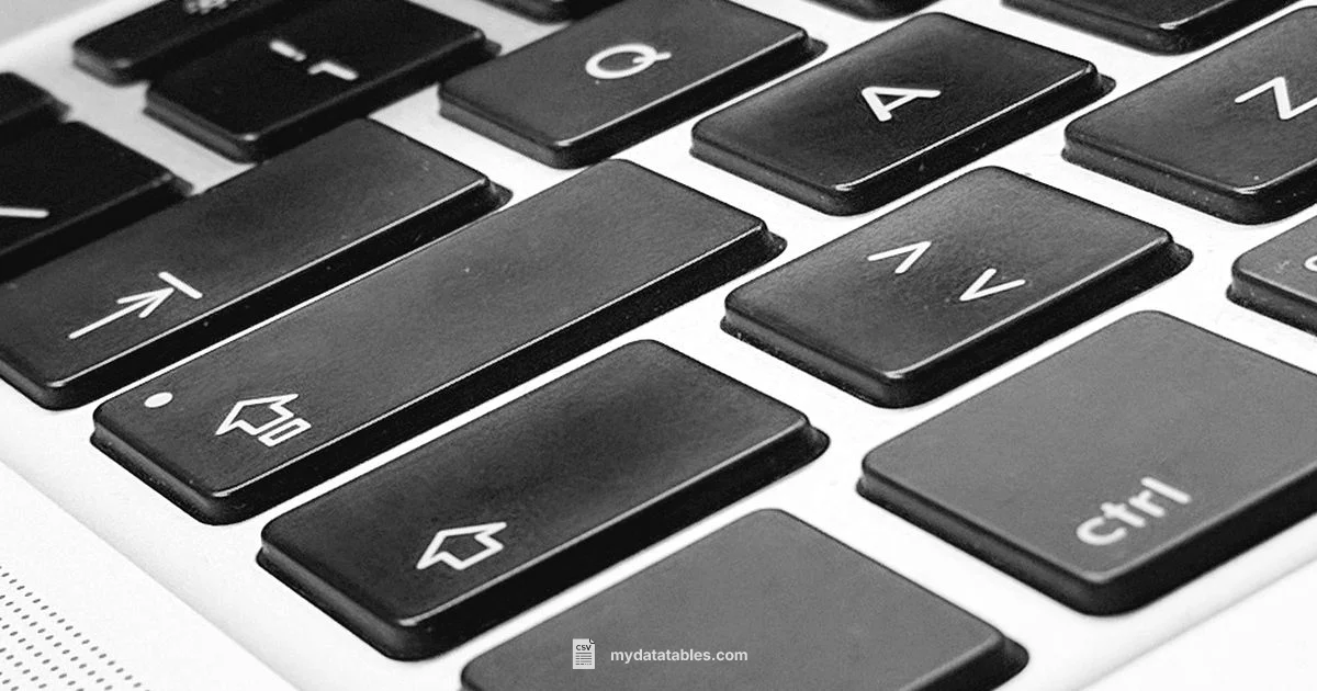 Protect CSV on Mac - MyDataTables