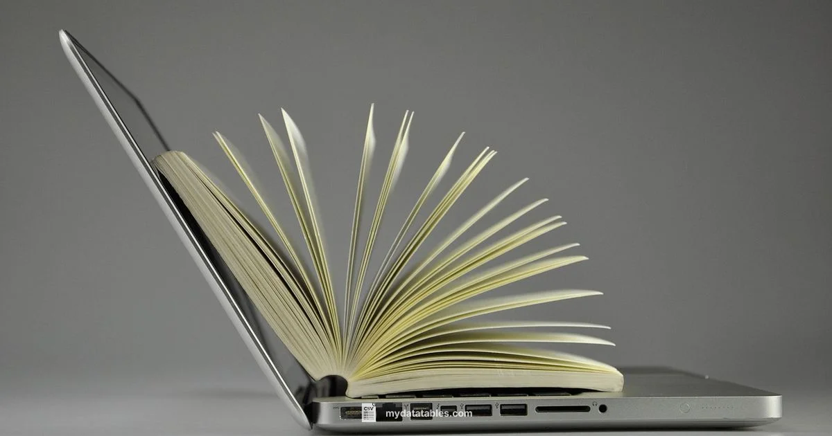 CSV Content Type - MyDataTables