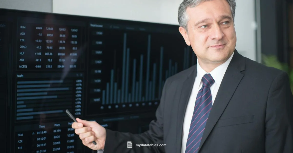 CSV in Excel - MyDataTables