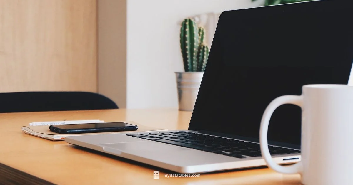 Secure CSV Export Secure CSV Export - MyDataTables