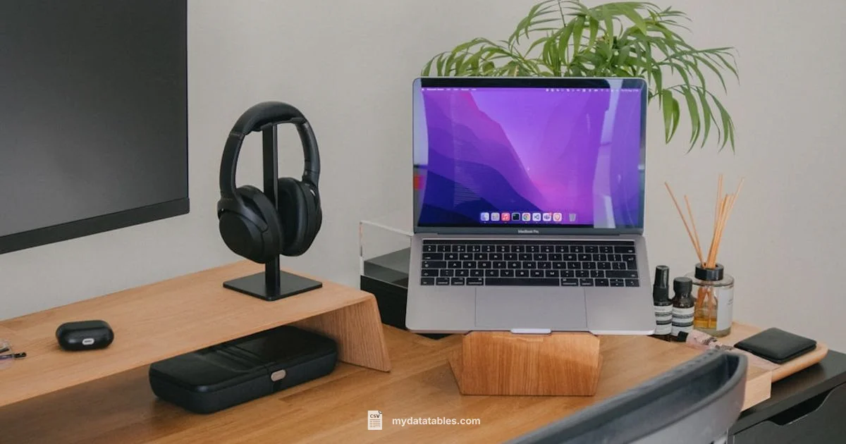 Split CSV Guide - MyDataTables