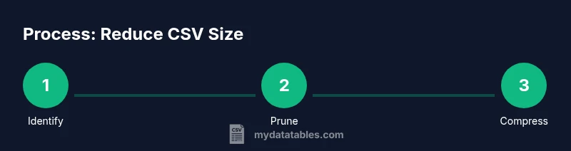 Process infographic showing identify, prune, and compress steps to reduce CSV size
