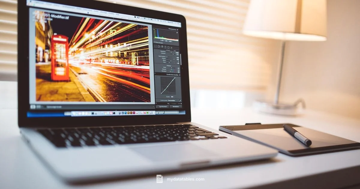 Convert Text to CSV - MyDataTables