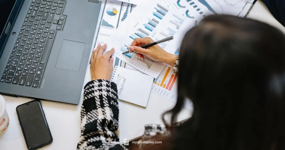 CSV a Excel - MyDataTables