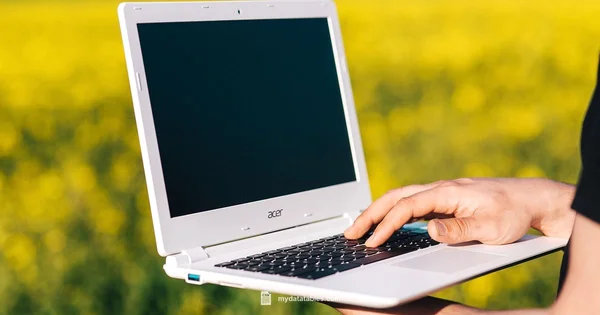 CSV vs Excel - MyDataTables