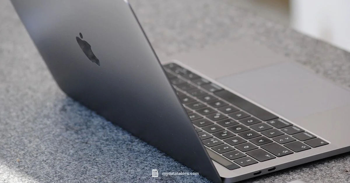 CSV Mac Editor Guide CSV Mac Editor Guide - MyDataTables