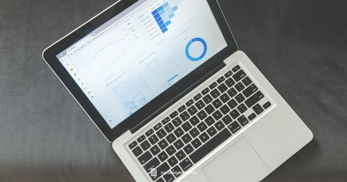 Open CSV in Sheets - MyDataTables