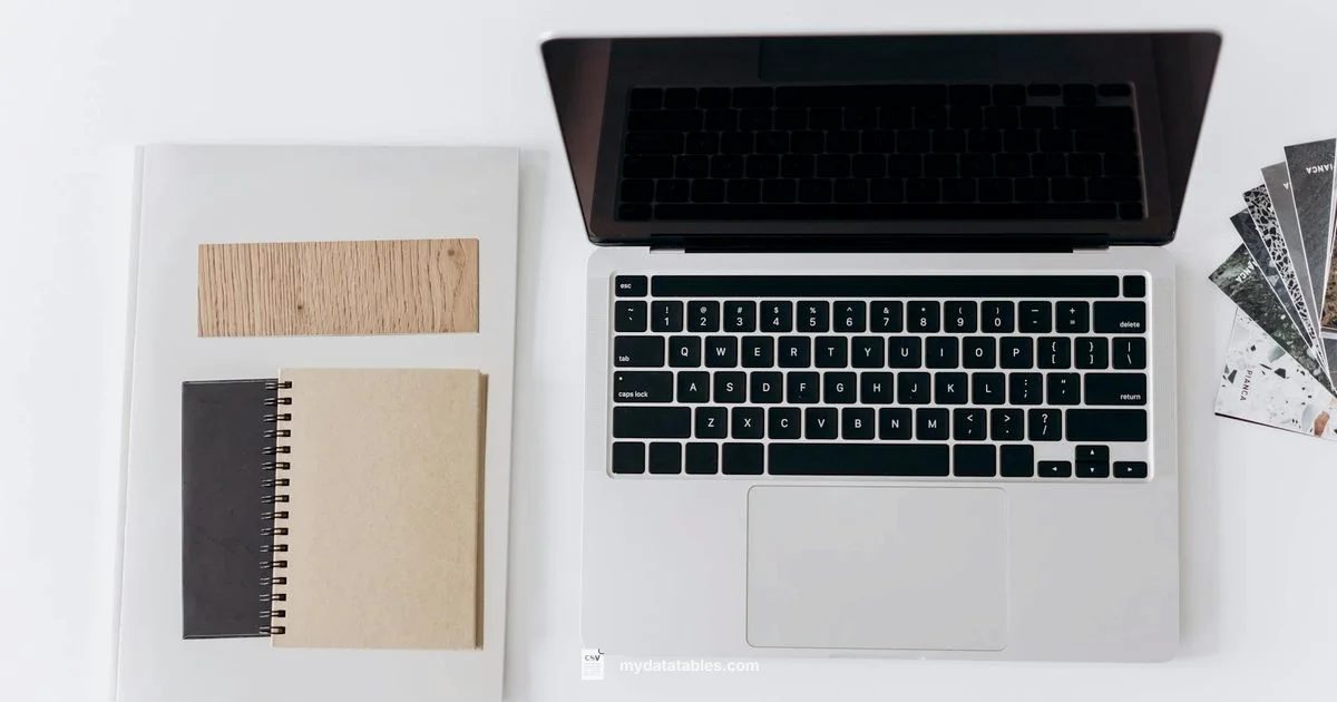 CSV to Excel Automation - MyDataTables