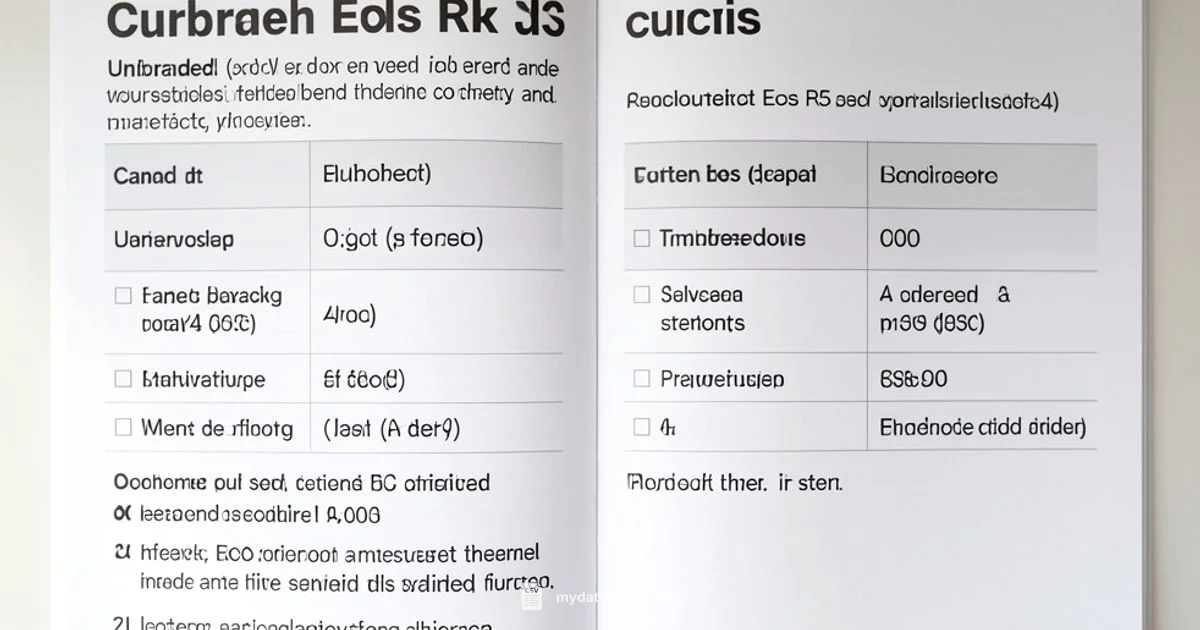 CSV Formatting - MyDataTables