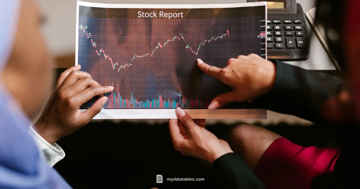 Report CSV Essentials - MyDataTables