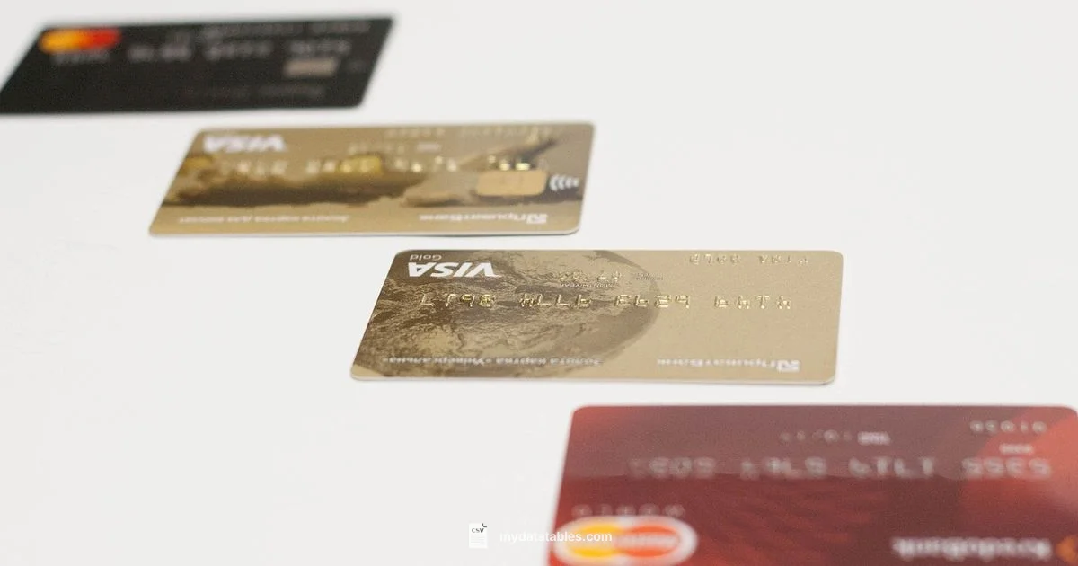 CreditCard CSV Guide CreditCard CSV Guide - MyDataTables