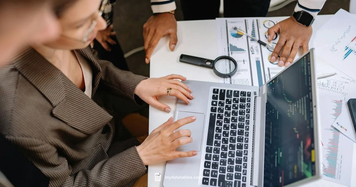 Convert XLSX to CSV - MyDataTables