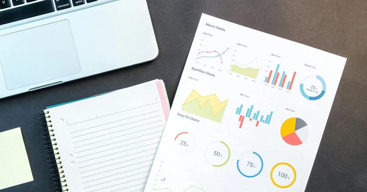 CSV to PDF Guide - MyDataTables