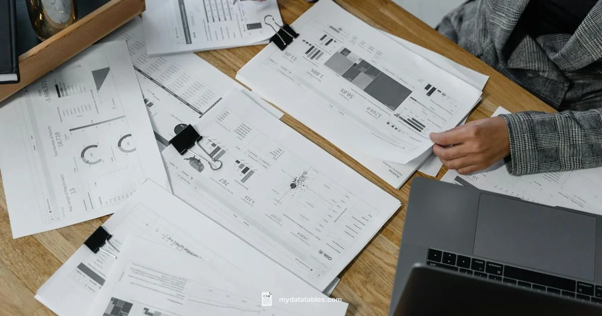 CSV Ubiquity Explained - MyDataTables