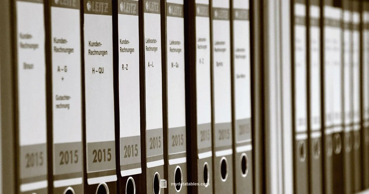 CSV Essentials Guide CSV Essentials Guide - MyDataTables