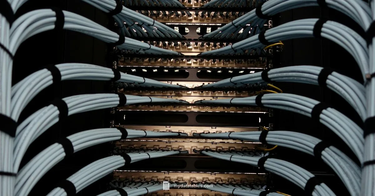 CSV Structure Guide CSV Structure Guide - MyDataTables