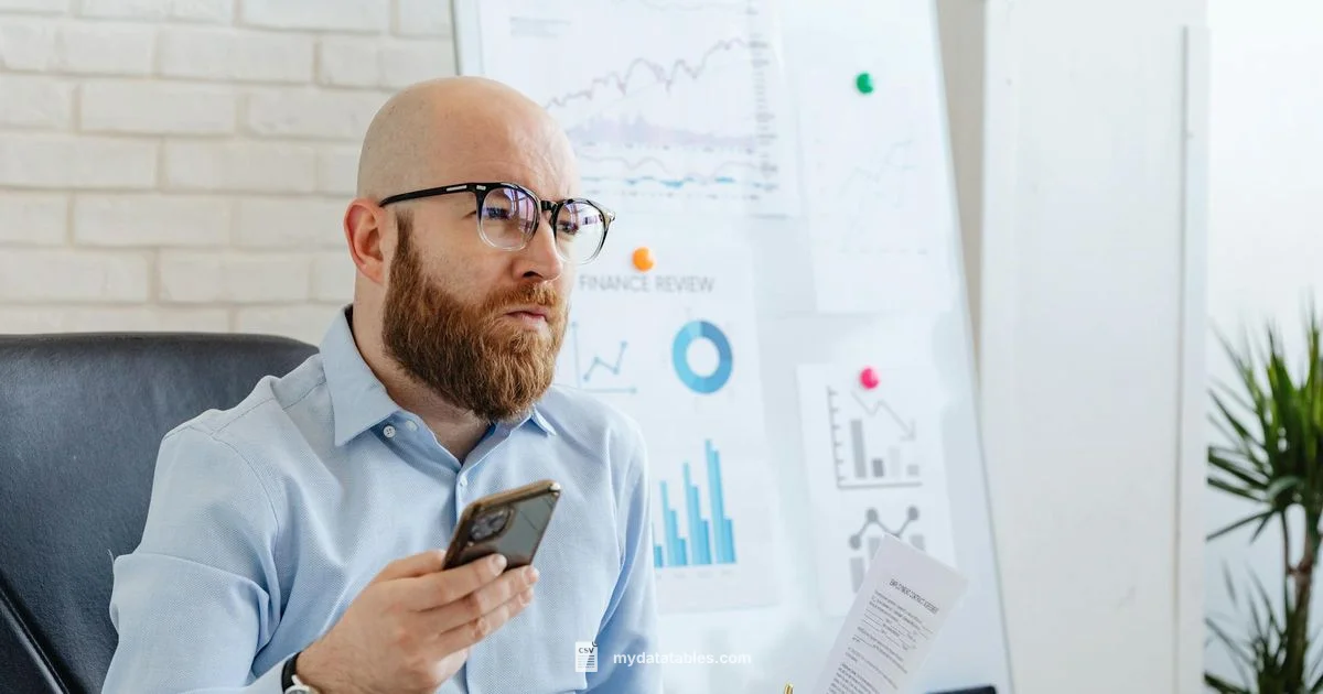 CSV Looks Like Excel - MyDataTables