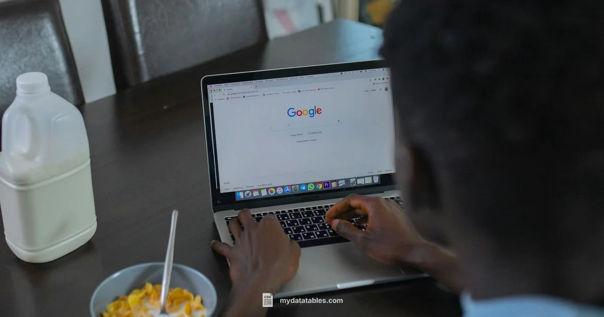 CSV to Sheets Guide CSV to Sheets Guide - MyDataTables