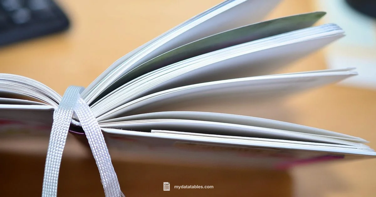 Excel to CSV Guide - MyDataTables