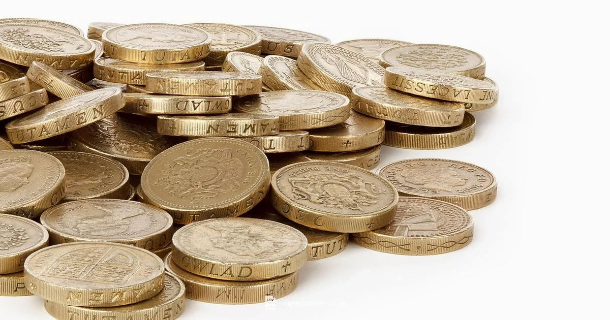 CSV Bank Statement - MyDataTables