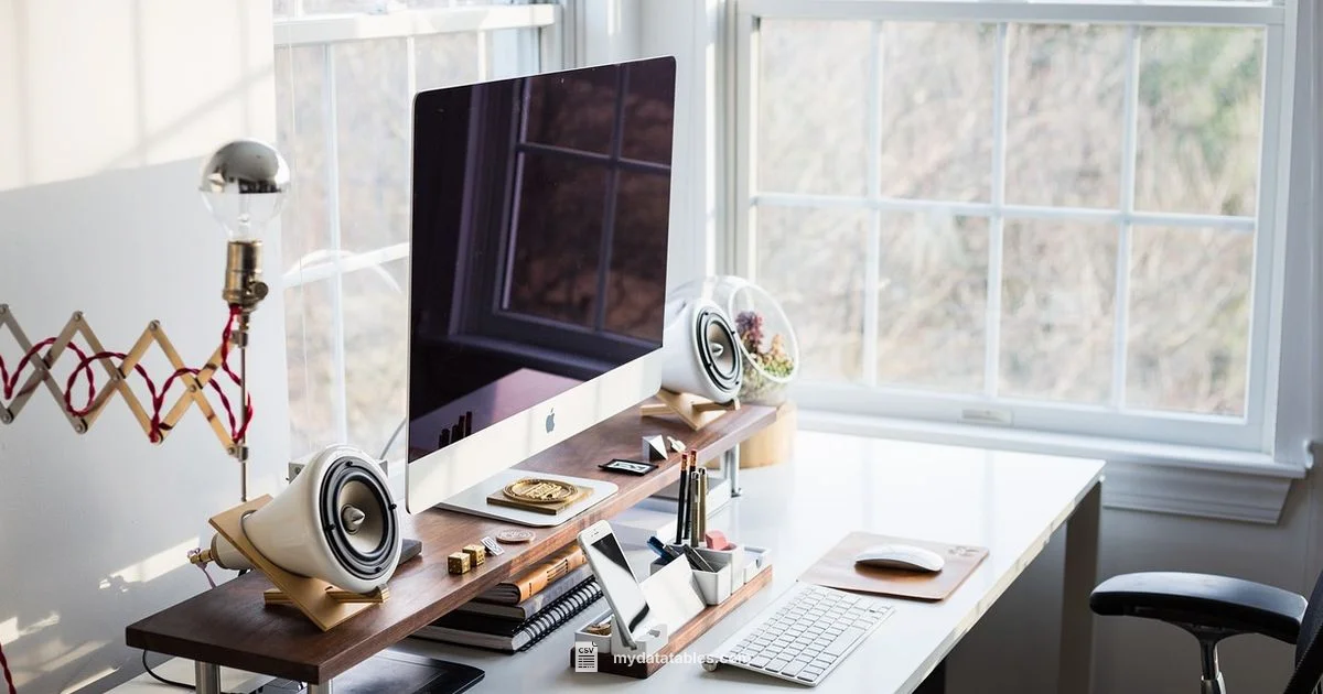 CSV in Excel - MyDataTables