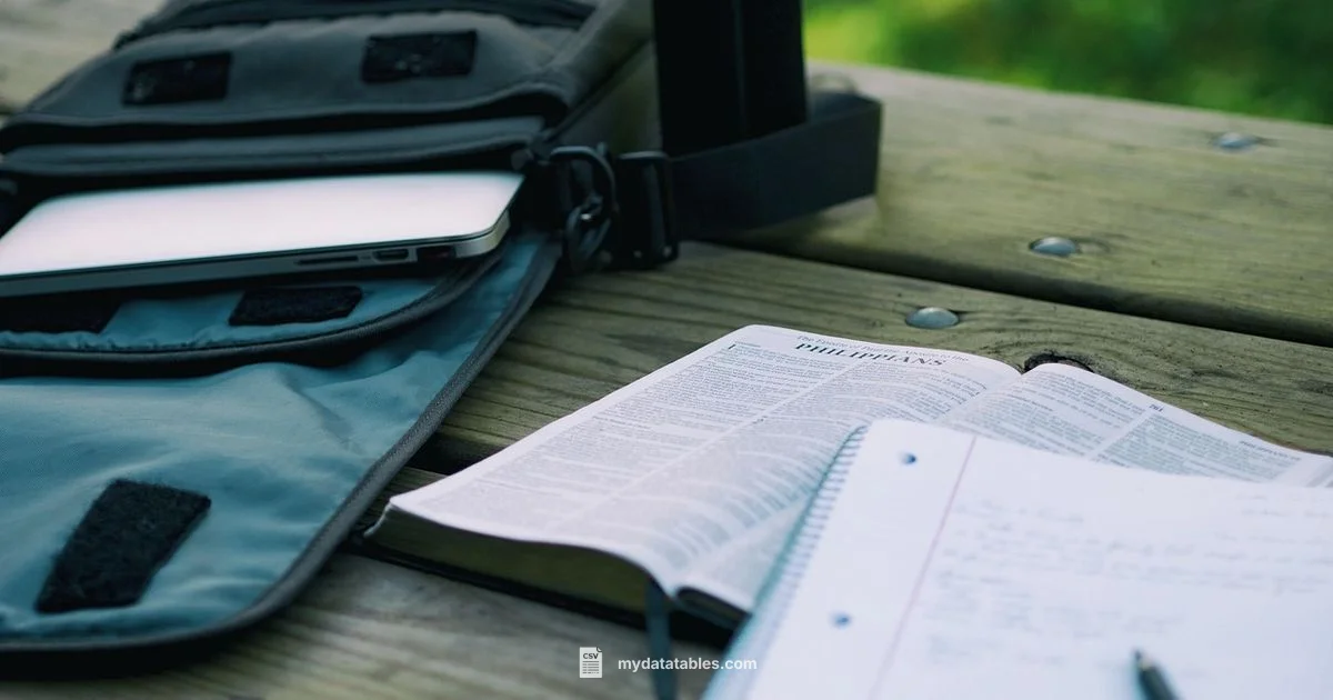 CSV vs ESV Bible - MyDataTables