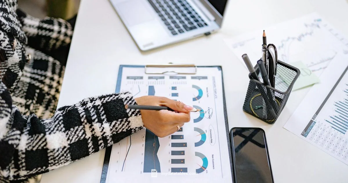 Excel to CSV in Python - MyDataTables