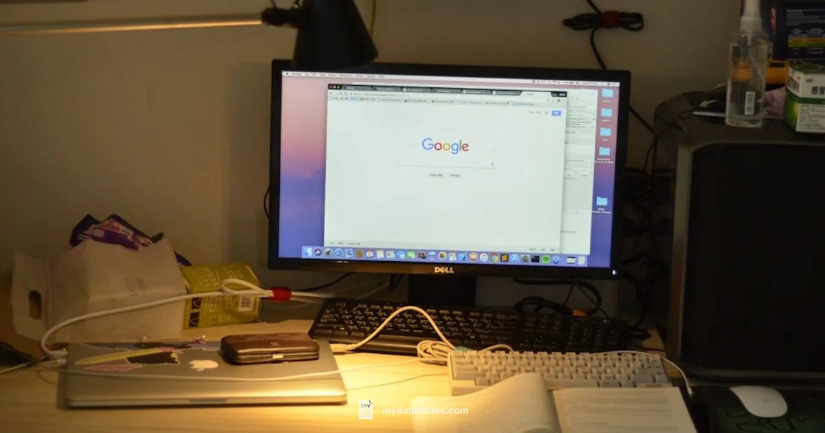 CSV Upload Guide - MyDataTables