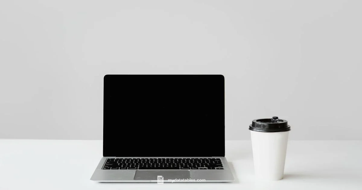 CSV Translation Guide - MyDataTables