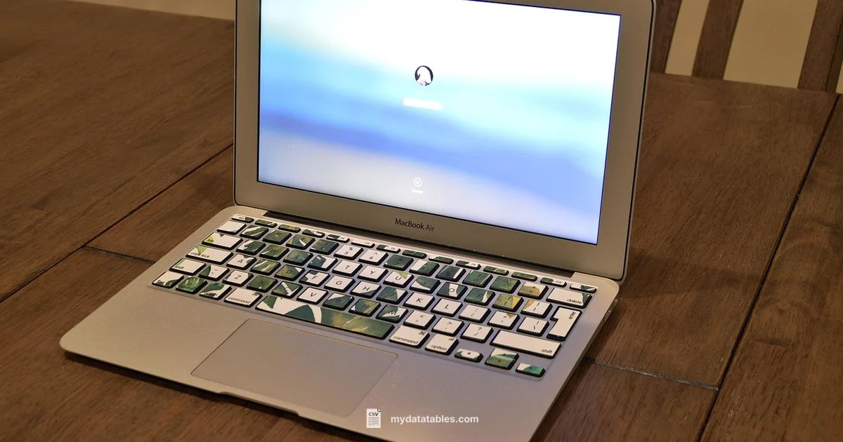 Mac CSV Editor Guide - MyDataTables