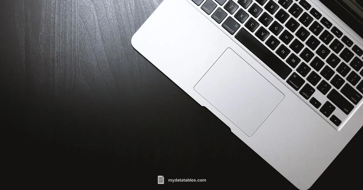 CSV Export Essentials CSV Export Essentials - MyDataTables