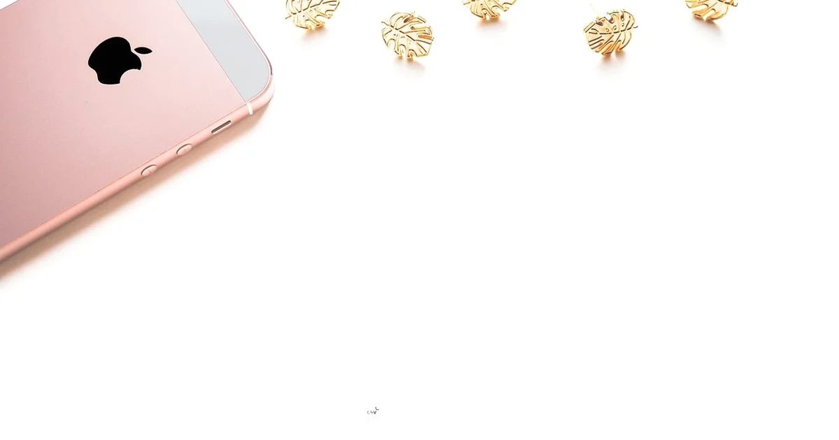 Export Contacts to CSV - MyDataTables