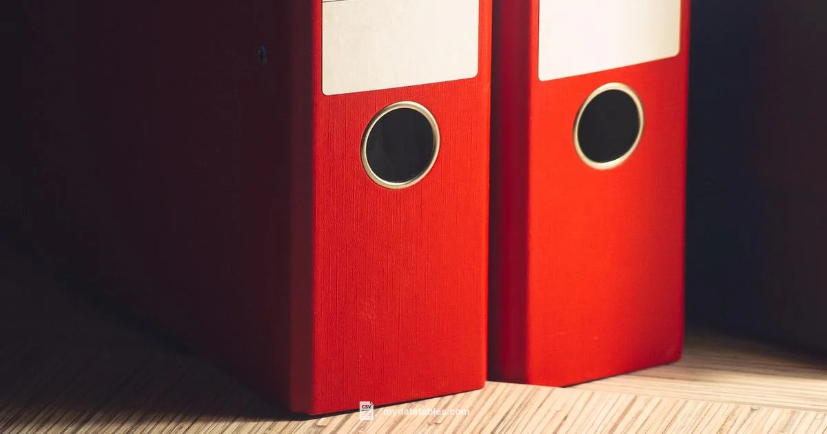 TXT to CSV Guide - MyDataTables