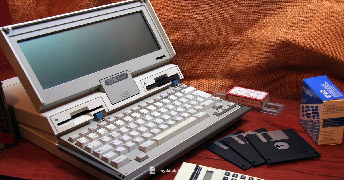 CSV Content Type CSV Content Type - MyDataTables