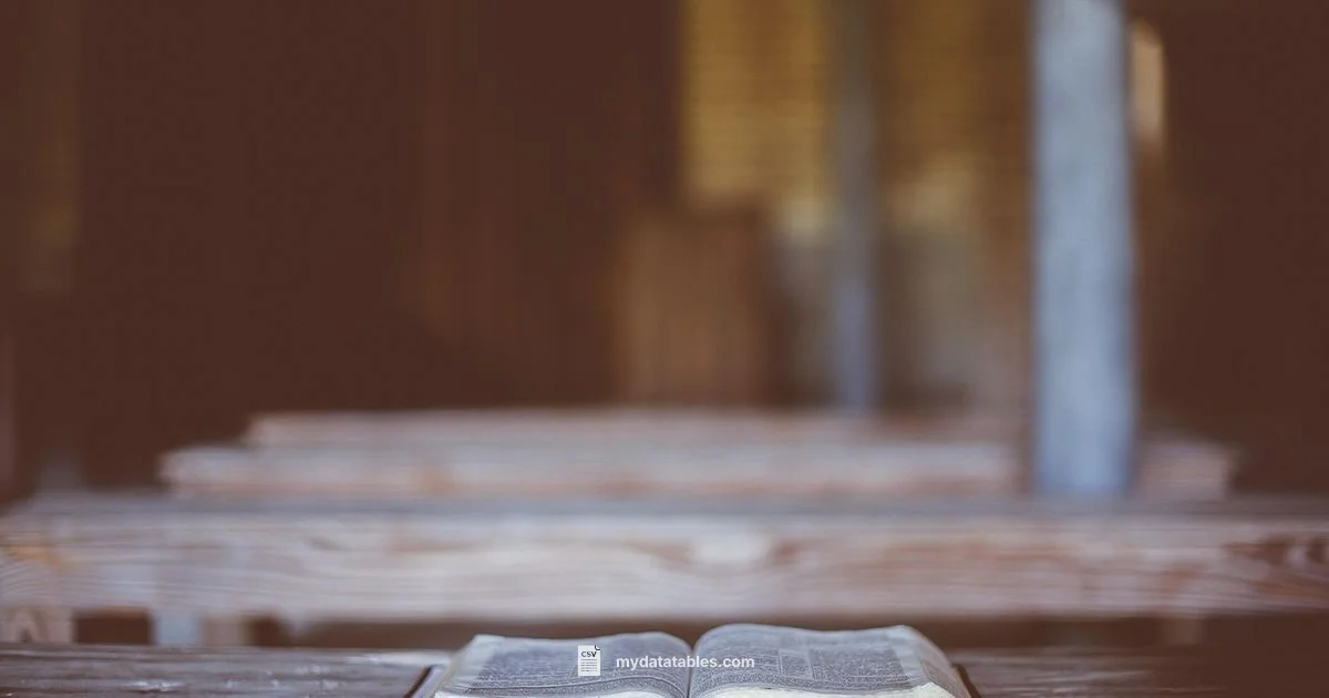 ESV Bible Overview - MyDataTables