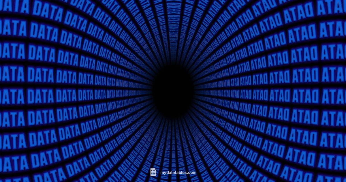 CSV Essentials for Beginners CSV Essentials for Beginners - MyDataTables