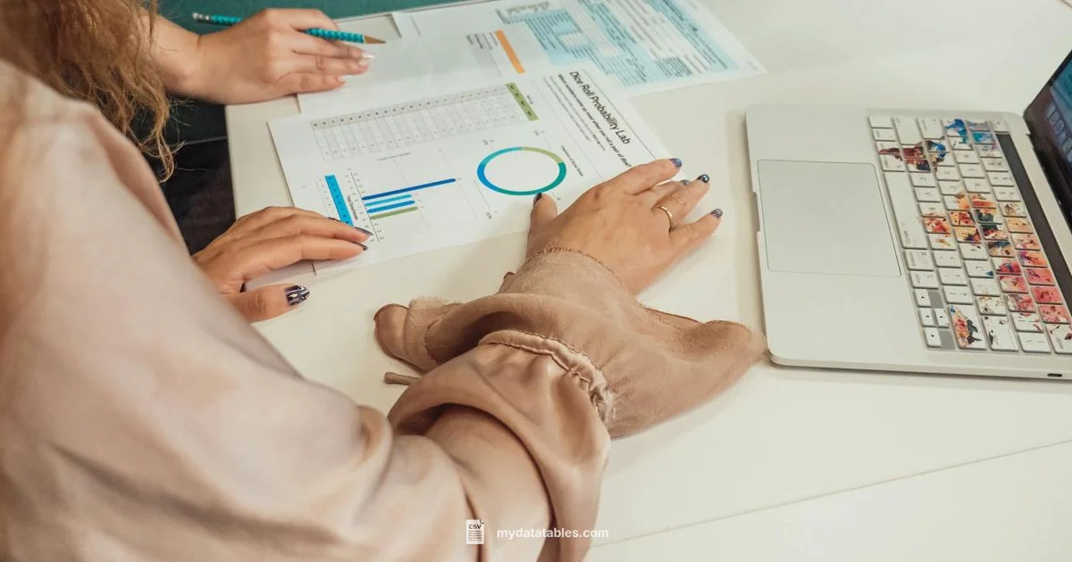 CSV to Table Guide - MyDataTables