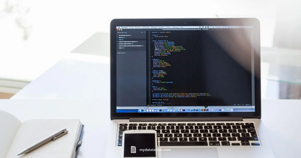 CSV Basics - MyDataTables