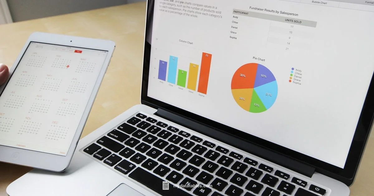 CSV in Excel - MyDataTables