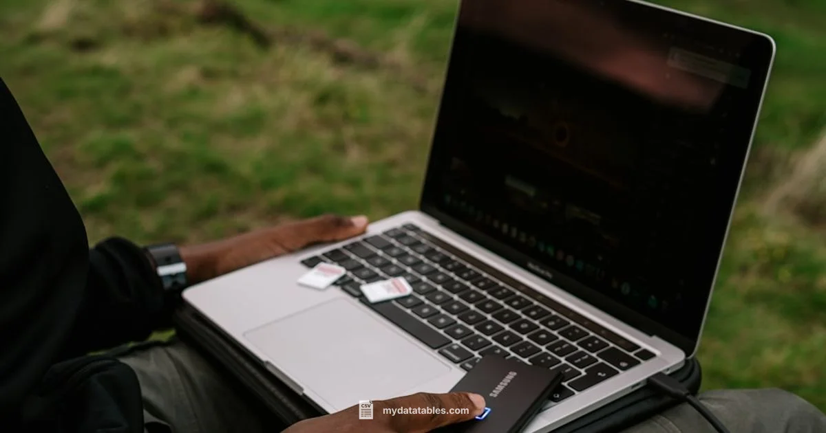 CSV Translation Workflow - MyDataTables